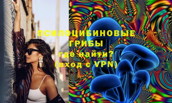 стаф Алексеевка